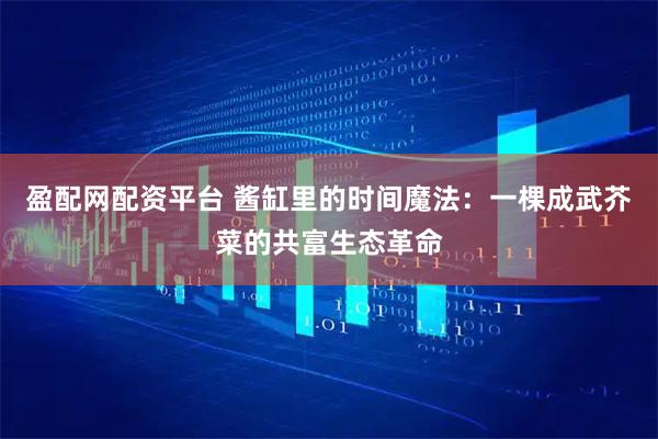 盈配网配资平台 酱缸里的时间魔法：一棵成武芥菜的共富生态革命