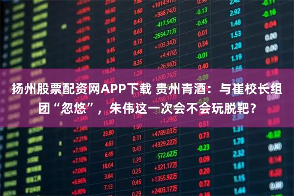 扬州股票配资网APP下载 贵州青酒：与崔校长组团“忽悠”，朱伟这一次会不会玩脱靶？